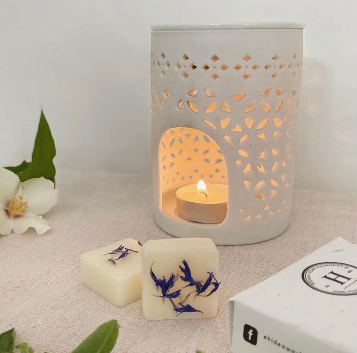 Soy Wax Melt Scent Discovery Box