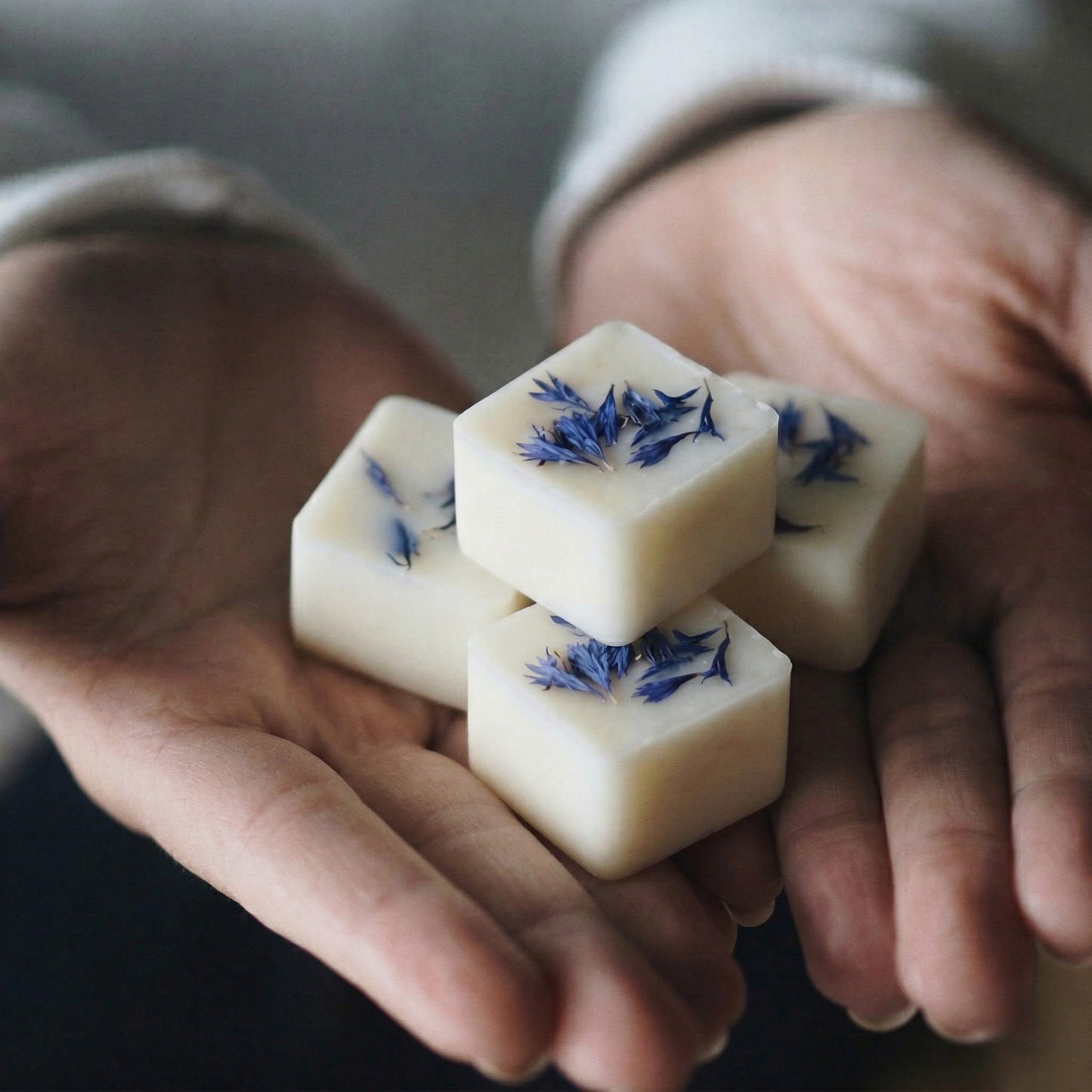 Fresh-scented Laundry Day botanical wax melting in a white ceramic wax warmer - Hideaway Home Fragrances