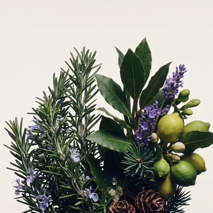 Graphic of scent notes for Bay & Rosemary, showing citrus, bay leaf, pine needle, lavender, rosemary, and musk - Hideaway Home Fragrances