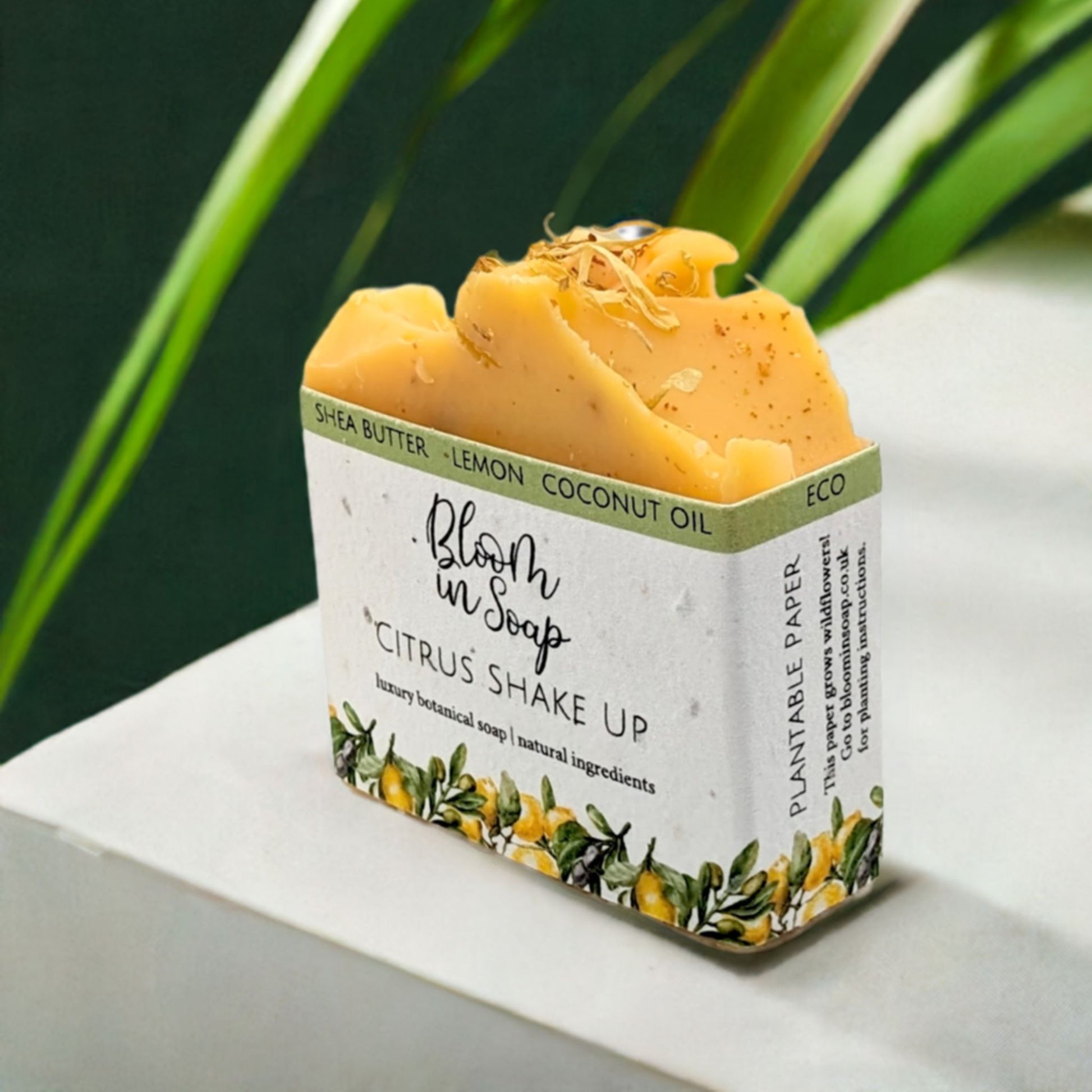 Exfoliating soap with hydrating oils and zesty citrus infusion - Hideaway Home Fragrances