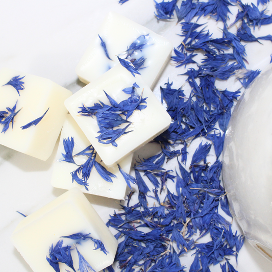 Six large Seychelles soy wax melts with citrusy, tropical, and soothing notes of bergamot, orange, amber, coconut, and vanilla – Hideaway Home Fragrances