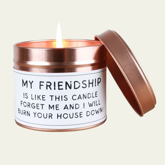 Friendship Candle Gift Forget it & I'll Burn Your House Down - Hideaway Home Fragrances