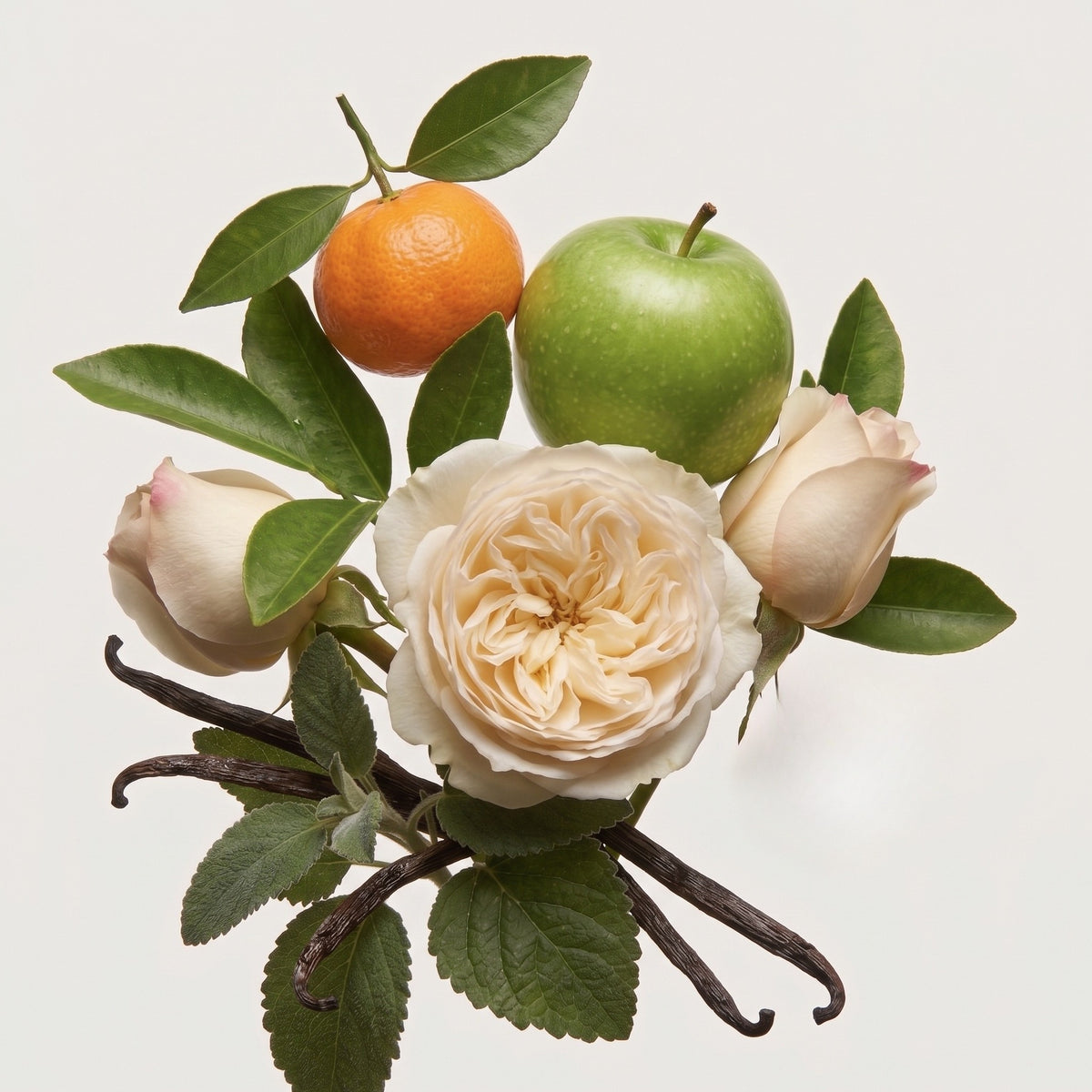 Fragrance note graphic for Laundry Day with fresh fruit, crisp green notes & patchouli - Hideaway Home Fragrances