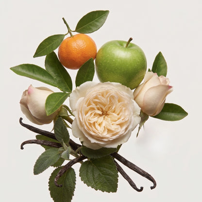 Fragrance note graphic for Laundry Day with fresh fruit, crisp green notes & patchouli - Hideaway Home Fragrances