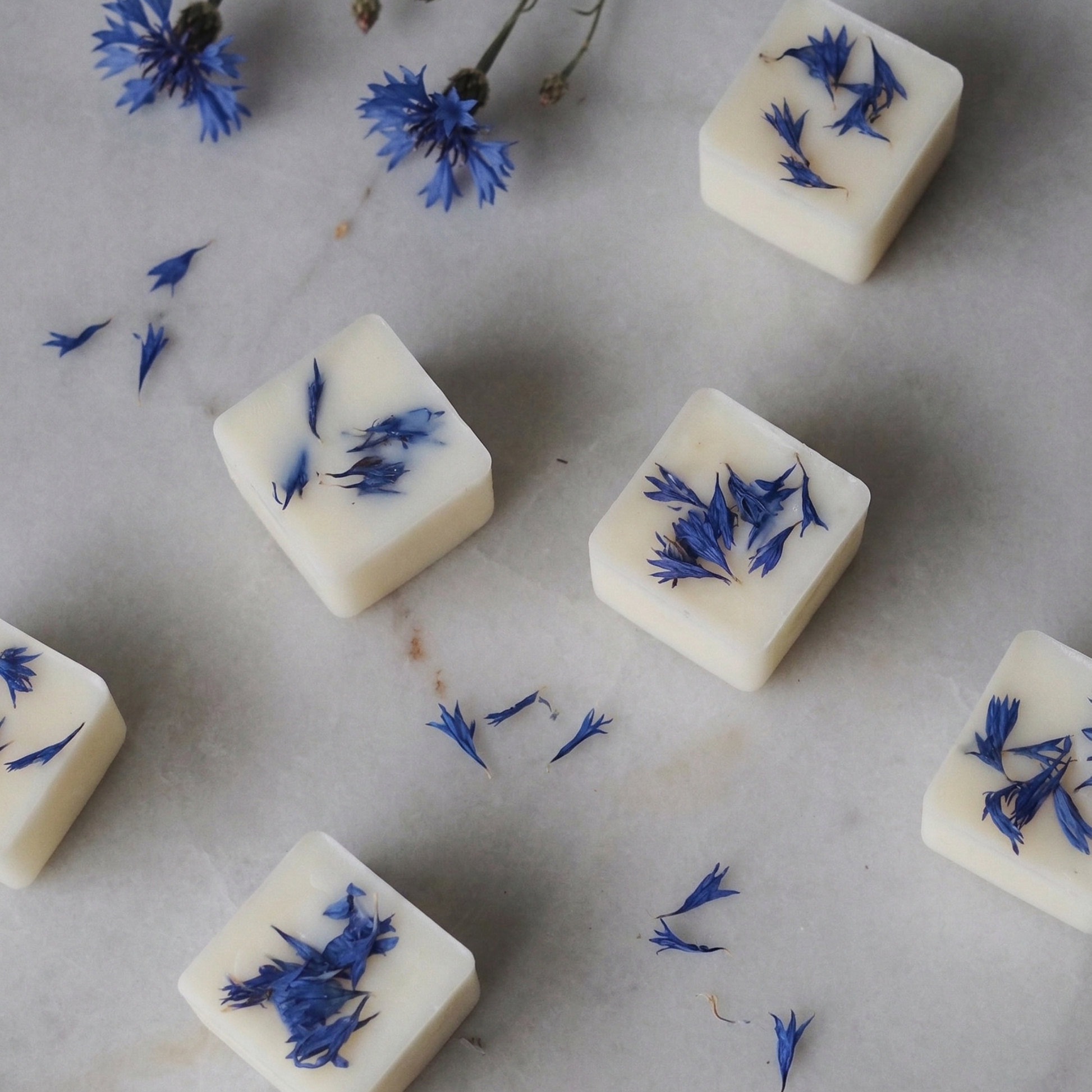 Close-up of handmade Laundry Day soy wax melts decorated with delicate dried botanicals - Hideaway Home Fragrances