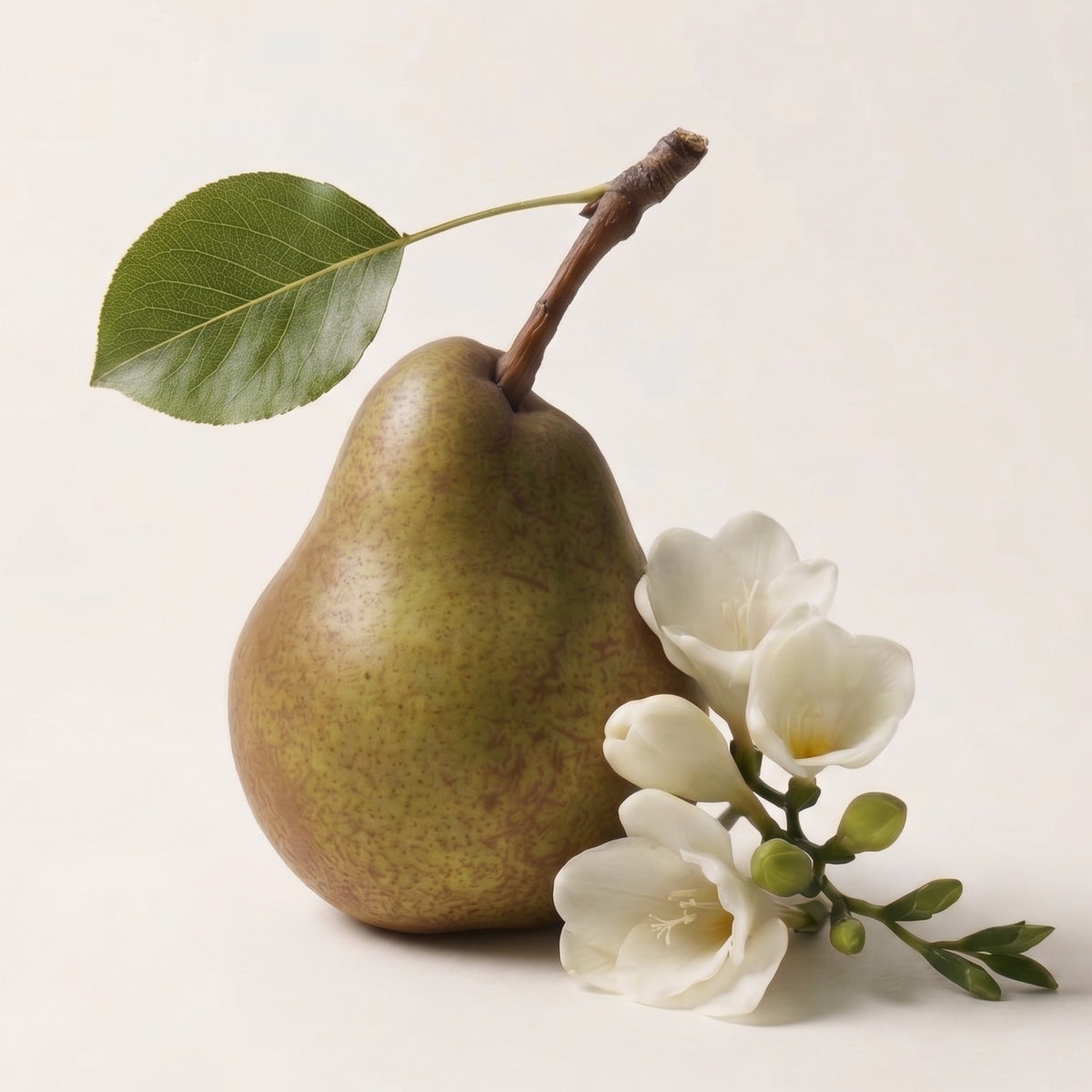 Fragrance note graphic for Pear & Freesia featuring fresh pear, freesia floral notes & musk - Hideaway Home Fragrances