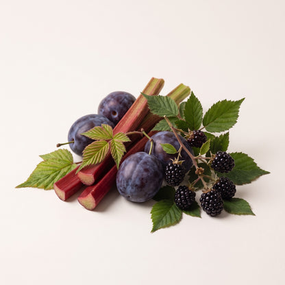 Fragrance note graphic for Plum & Wild Rhubarb featuring fruity notes, peach & blackberry - Hideaway Home Fragrances