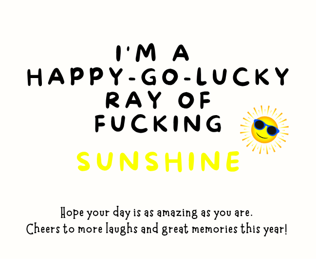 Close up of funny sarcastic ray of sunshine luxury reed diffuser witty birthday gift for her or him - Hideaway Home Fragrances