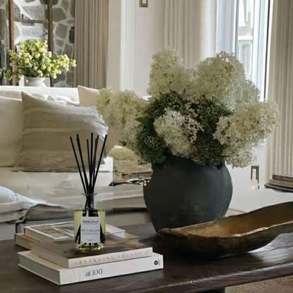 Seychelles clear reed diffuser, exotic coconut and bergamot spa inspired home fragrance