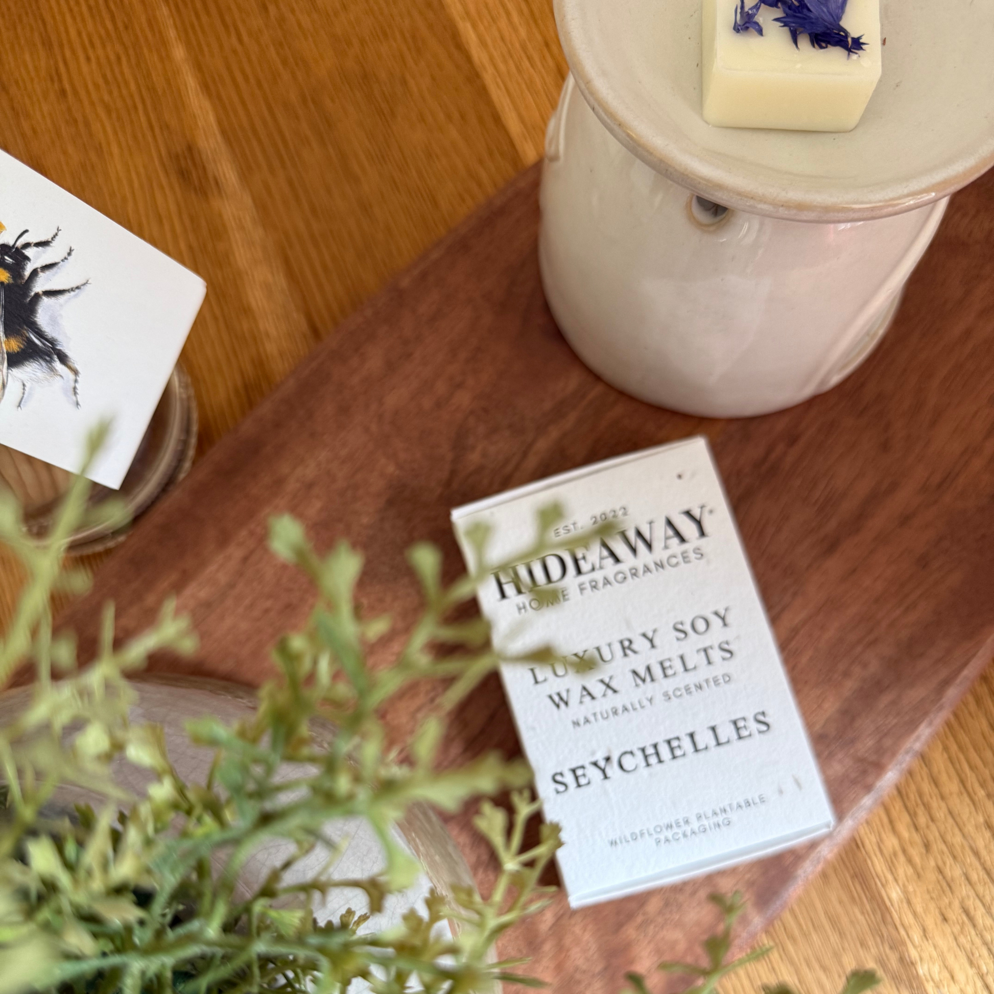 Six large Seychelles soy wax melts with citrusy, tropical, and soothing notes of bergamot, sweet orange, amber, coconut, and vanilla – Hideaway Home Fragrances