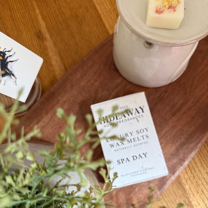 Spa Day soy wax melts with fresh, herbal, and calming notes of pine, eucalyptus, thyme, sea salt, and amber – Hideaway Home Fragrances
