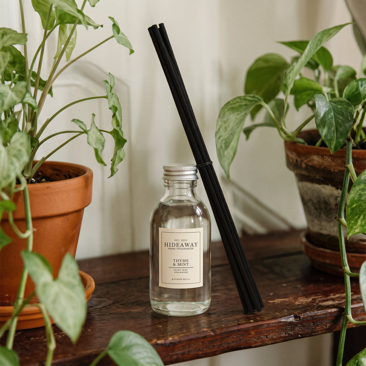 Thyme and mint diffuser oil refill by Hideaway Home Fragrances with spearmint, tea tree, and cedarwood notes