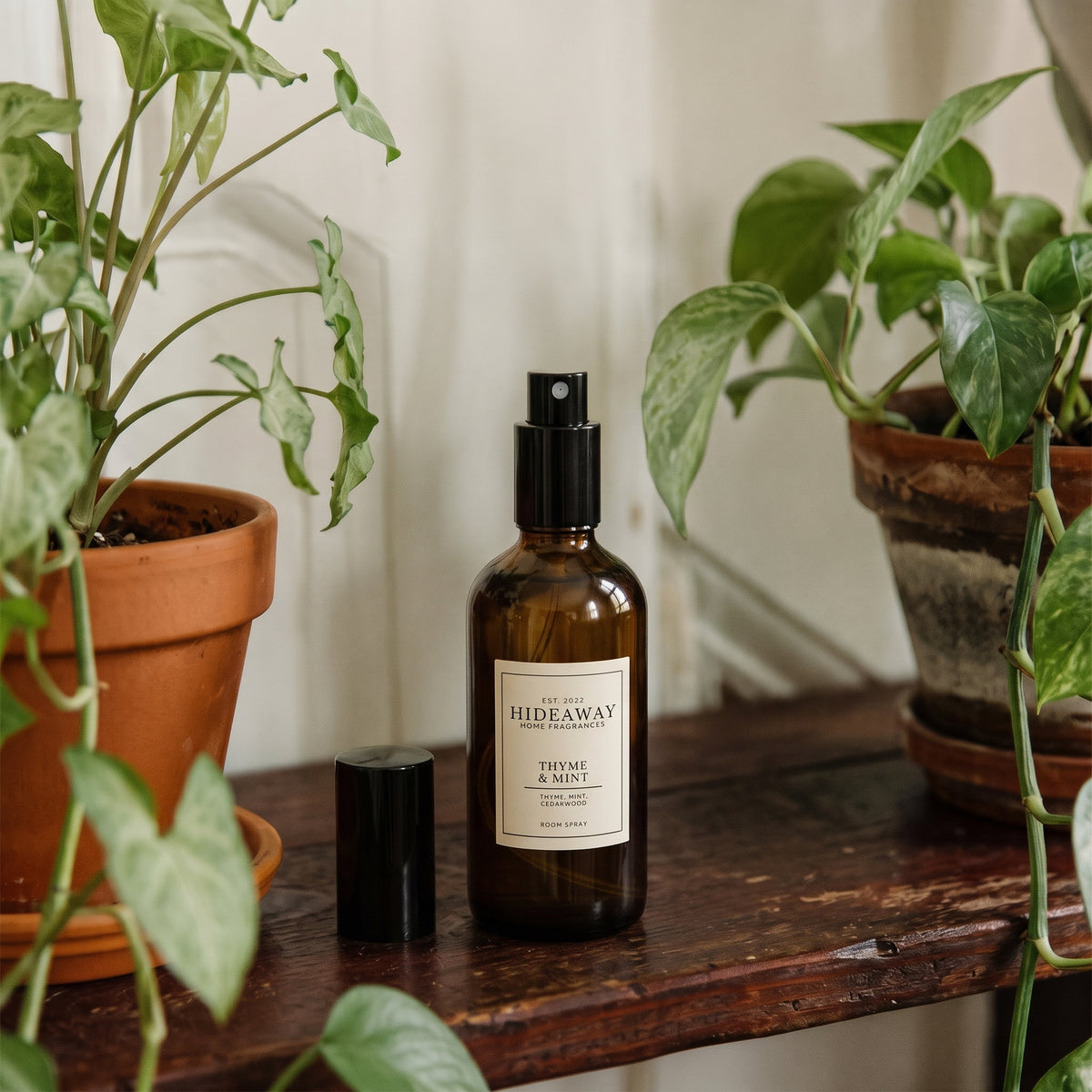 Botanical fragrance notes breakdown for Hideaway Home Fragrances thyme and mint room spray featuring crisp peppermint, herbal red thyme, cedarwood, and petitgrain.
